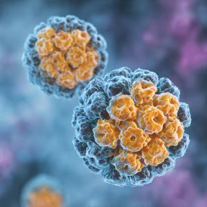 HPV e câncer de colo do útero: o teste que vai substituir o Papanicolau