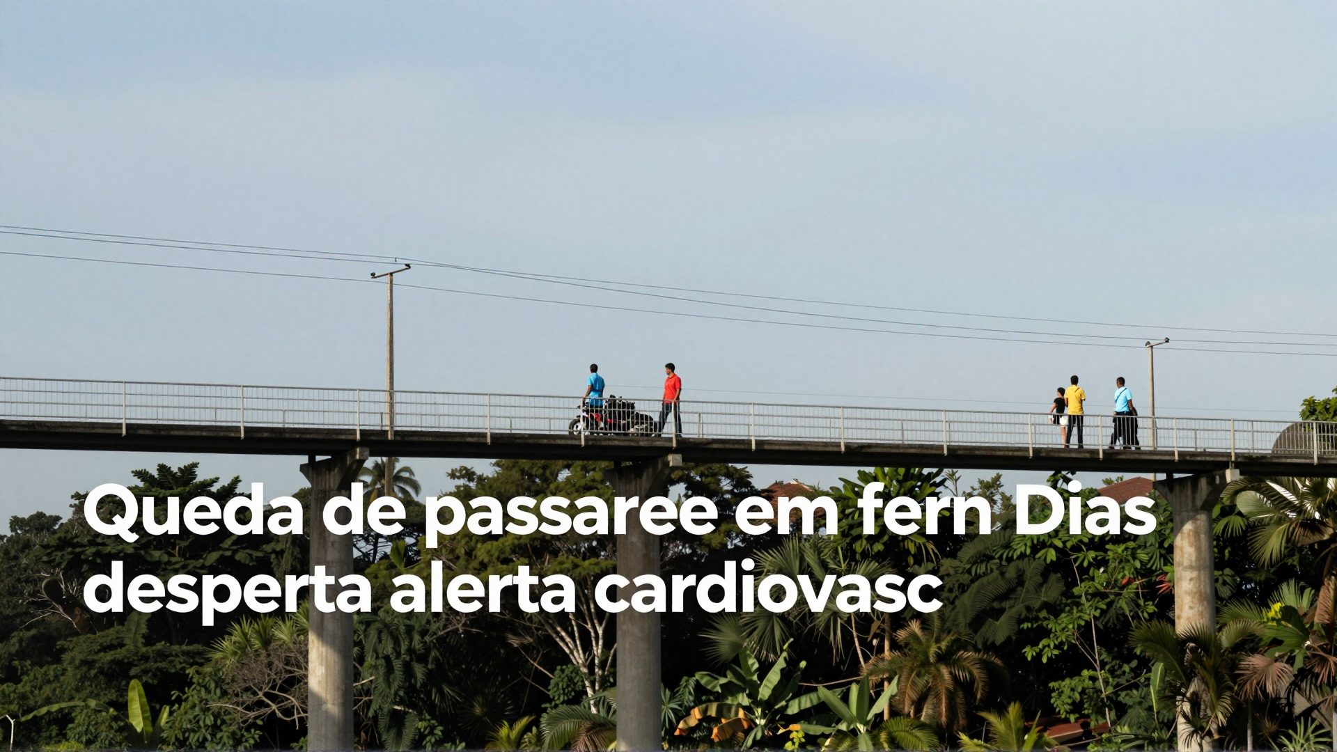 Queda de passarela em Fernão Dias desperta alerta cardiovascular para motoristas estressados