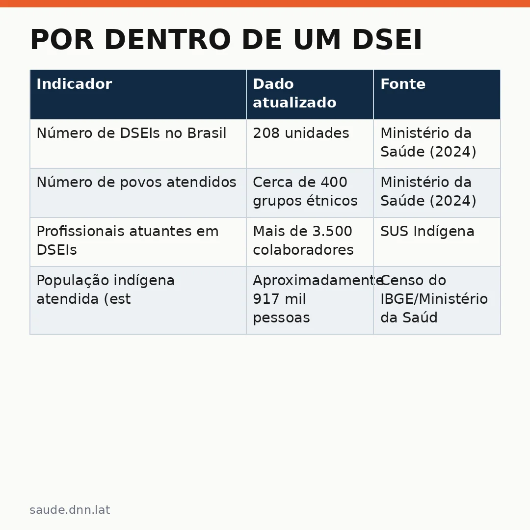 Infográfico - Por dentro de um DSEI: como o SUS organiza a saúde nos territórios indígenas — uma jornada pela saúde bem estar dentro d