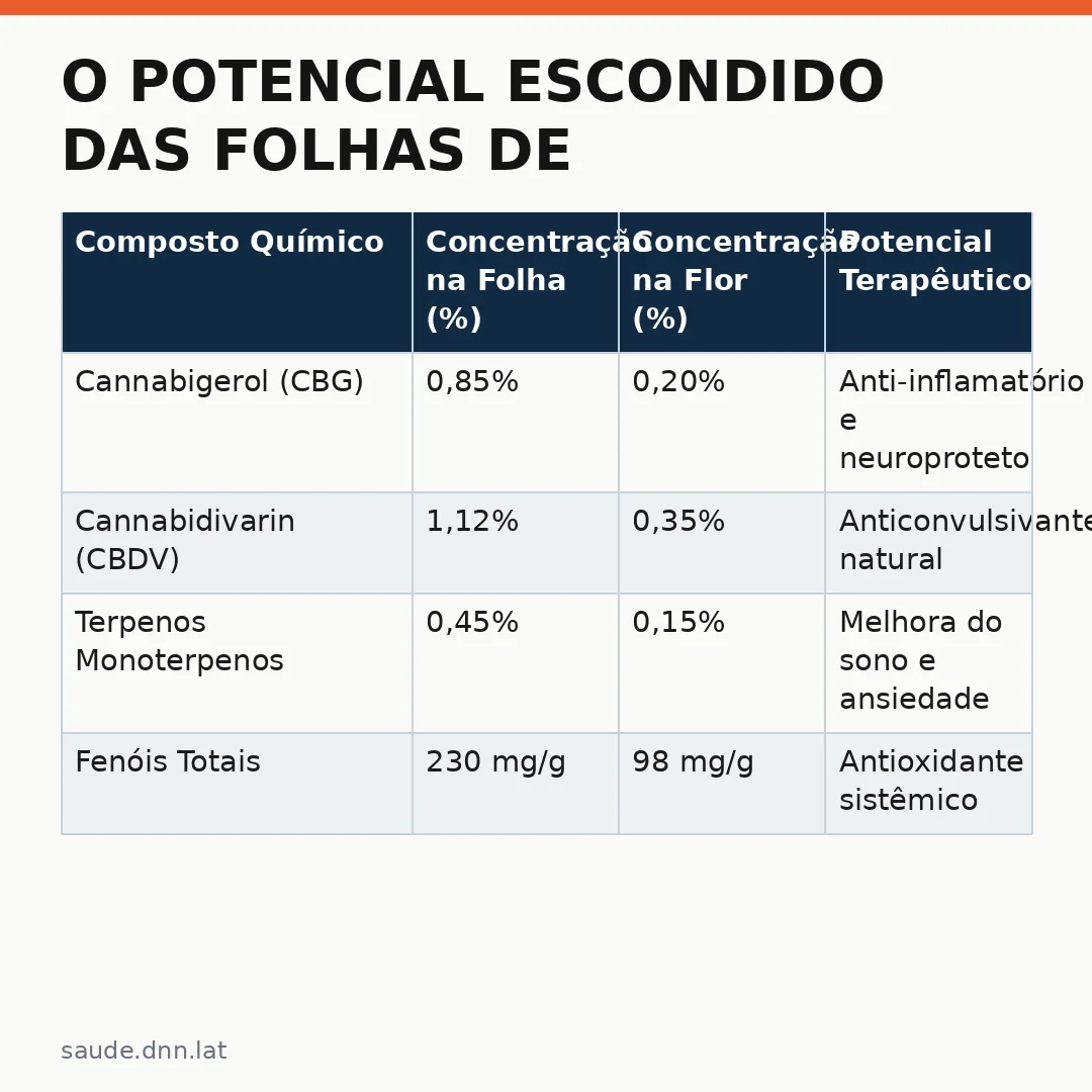 Infográfico - O Potencial Escondido das Folhas de Cannabis na Terapia Médica