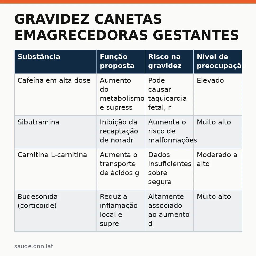 Infográfico - Gravidez canetas emagrecedoras gestantes: por que evitar seu uso durante a gravidez