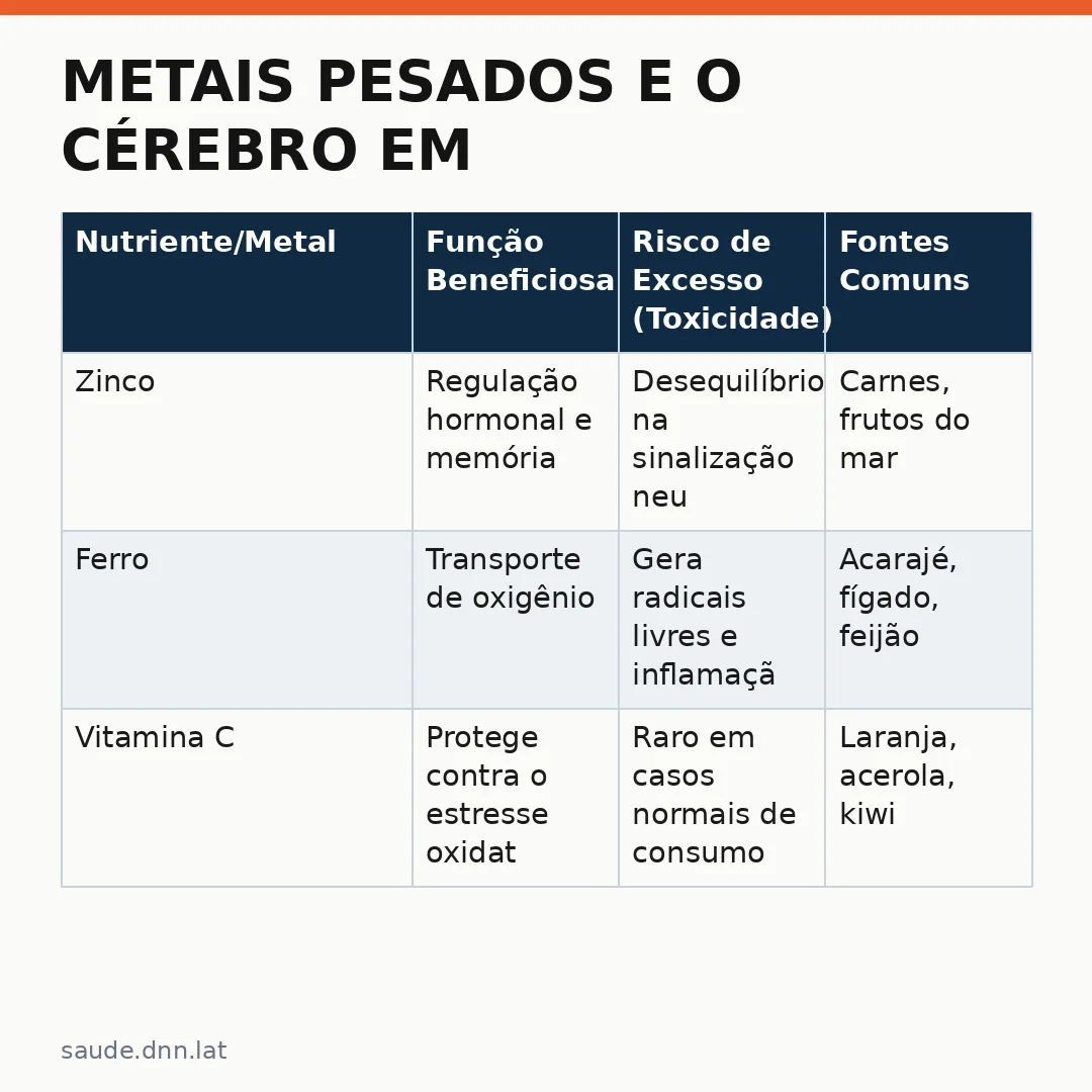 Infográfico - Metais pesados e o cérebro em desenvolvimento: quando o excesso vira inimigo